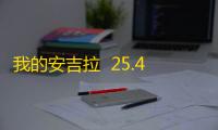 我的安吉拉  25.4.1.7350